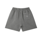 The Genesis Shorts